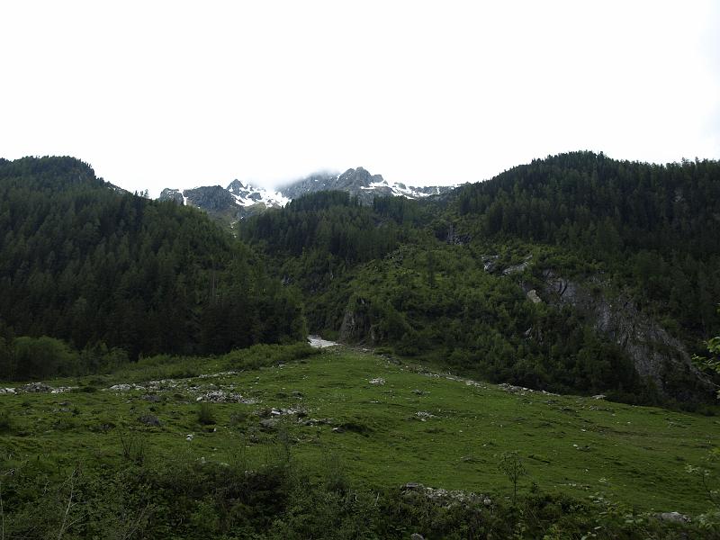 AUS01062009 (100).jpg